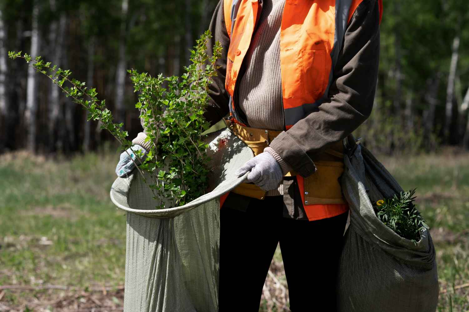  Wabasso Beach, FL TreeGuard Tree Service Pros